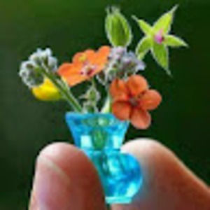 Meet your Posher, Donna